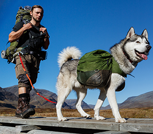 how do i prepare my dog for hiking