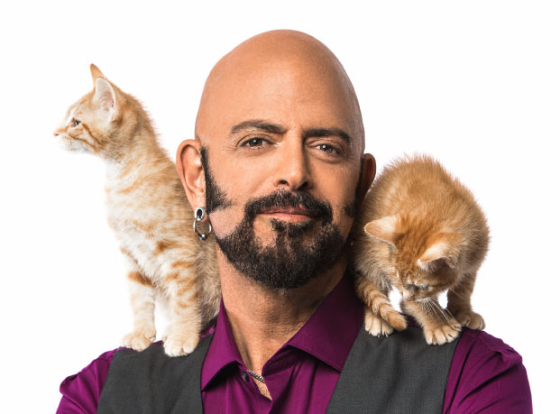 Jackson galaxy hot sale own cats